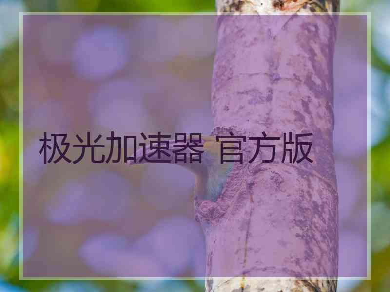 极光加速器 官方版