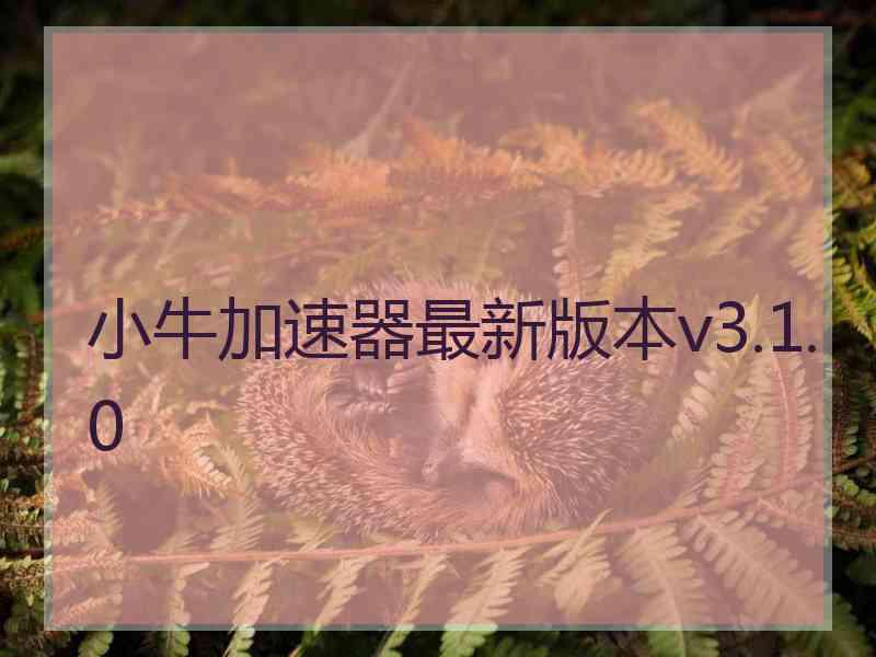 小牛加速器最新版本v3.1.0