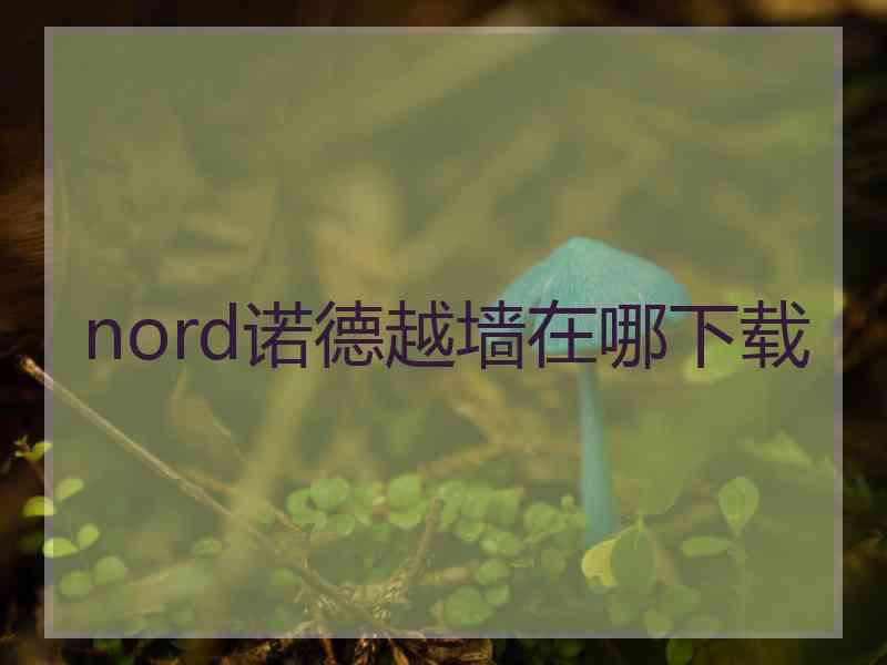nord诺德越墙在哪下载
