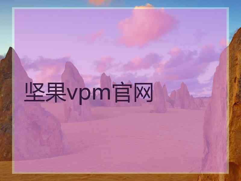 坚果vpm官网