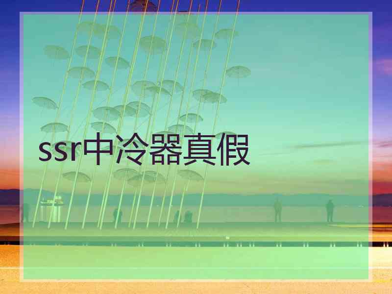 ssr中冷器真假
