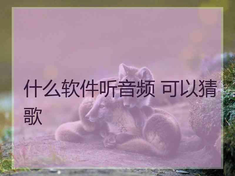 什么软件听音频 可以猜歌