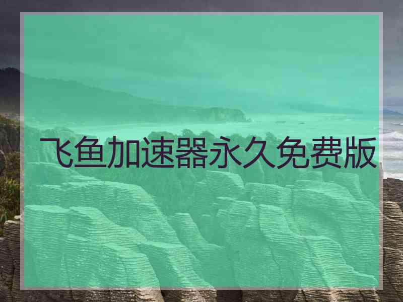 飞鱼加速器永久免费版
