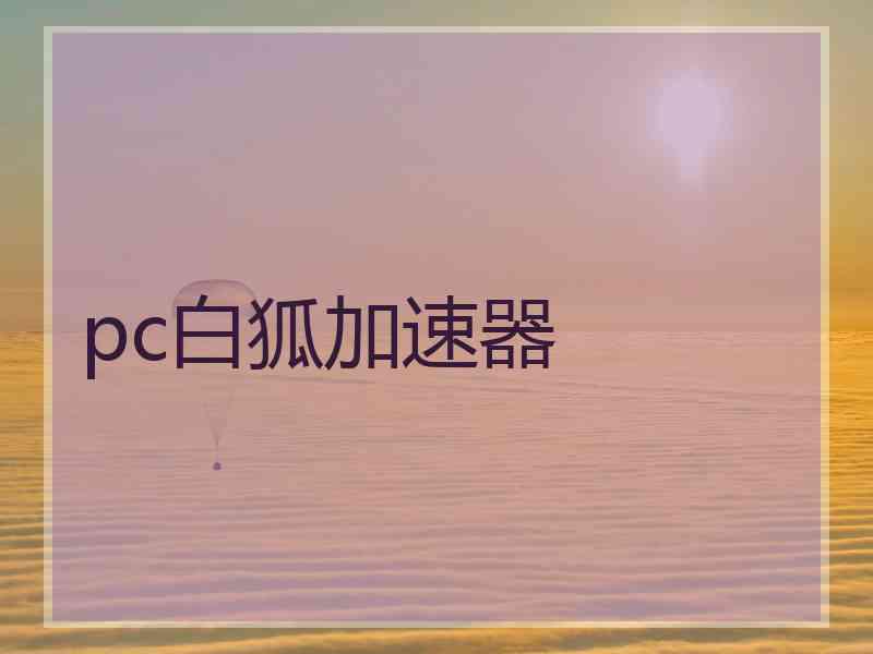pc白狐加速器