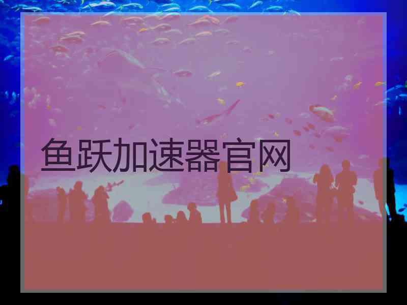 鱼跃加速器官网