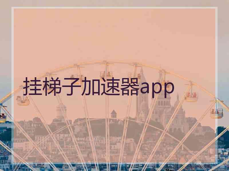 挂梯子加速器app