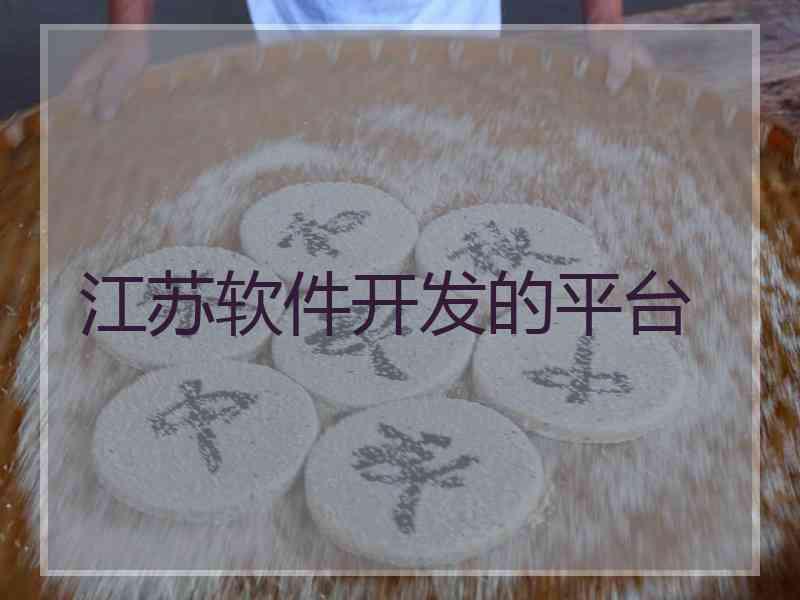 江苏软件开发的平台