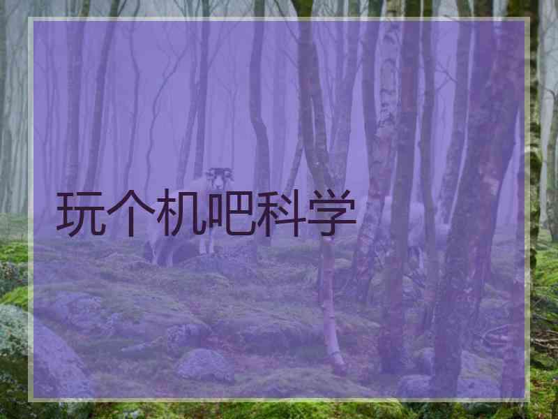 玩个机吧科学
