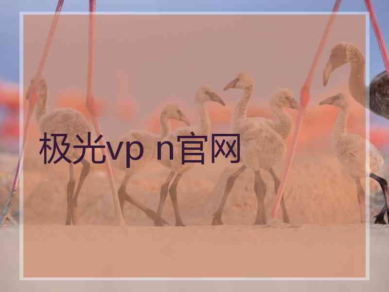 极光vp n官网