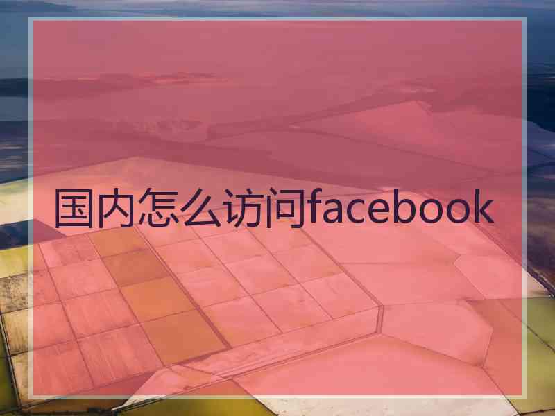 国内怎么访问facebook