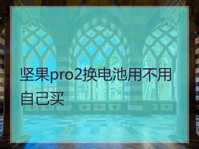 坚果pro2换电池用不用自己买