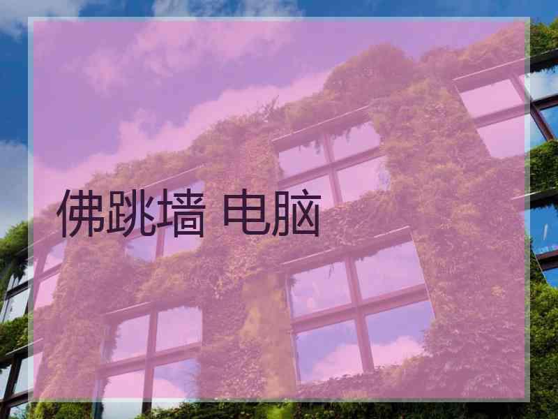 佛跳墙 电脑