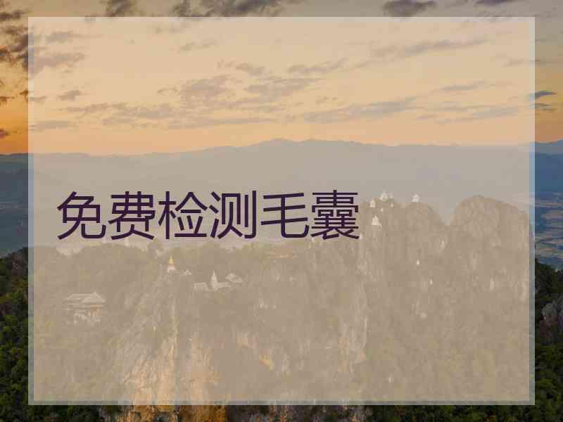 免费检测毛囊