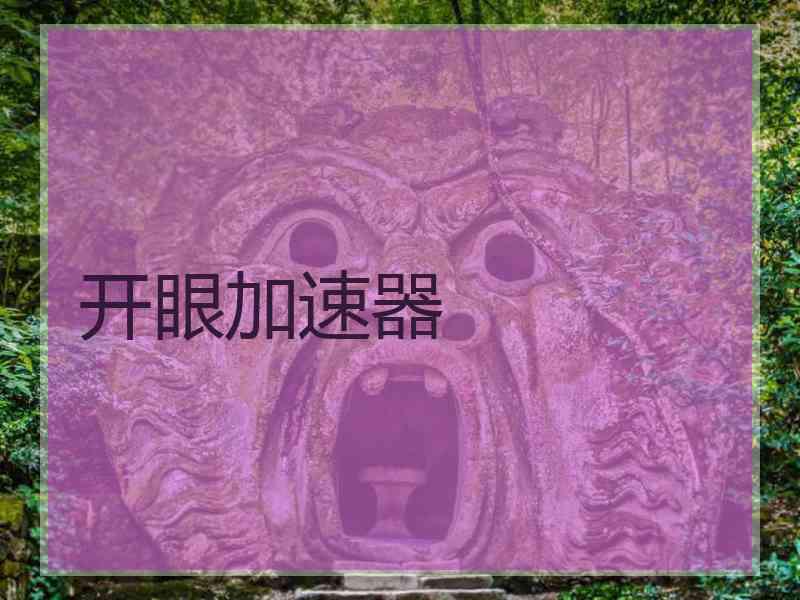 开眼加速器