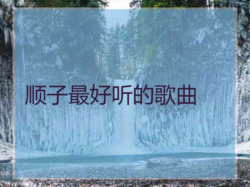 顺子最好听的歌曲