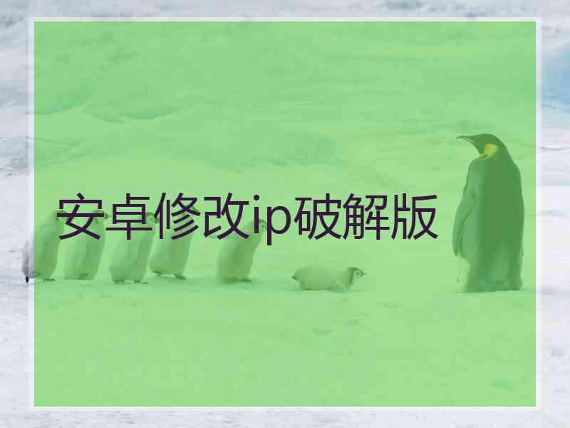安卓修改ip破解版