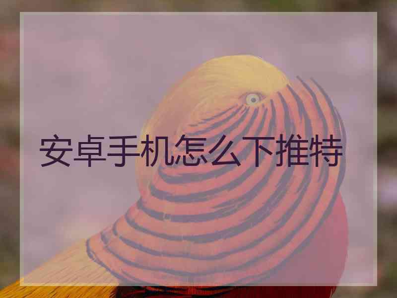 安卓手机怎么下推特