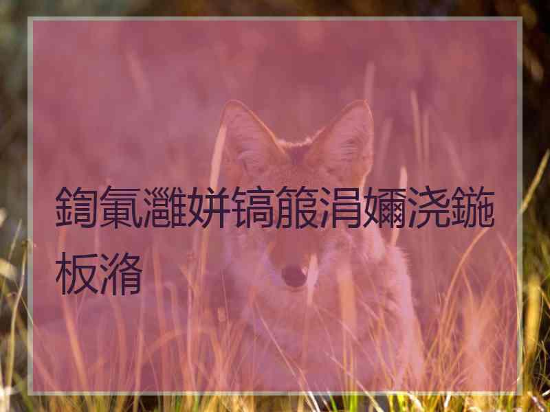鍧氭灉姘镐箙涓嬭浇鍦板潃
