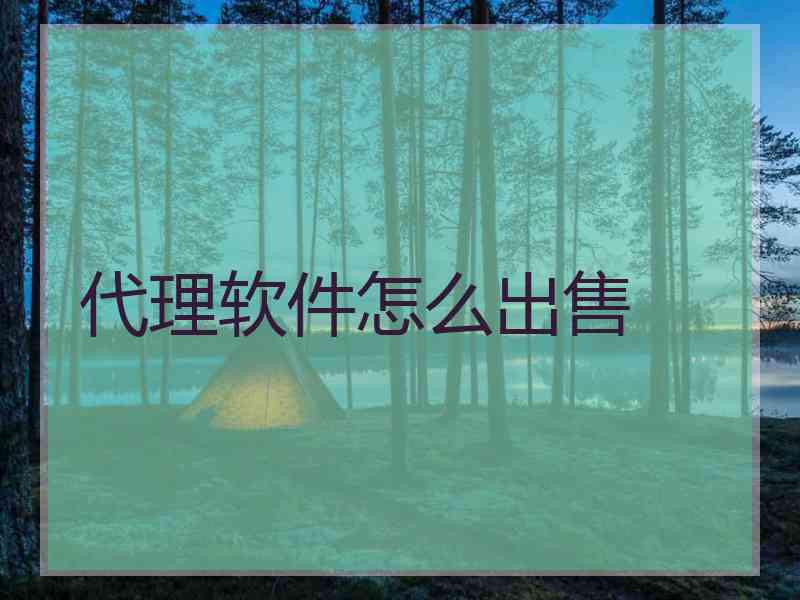 代理软件怎么出售