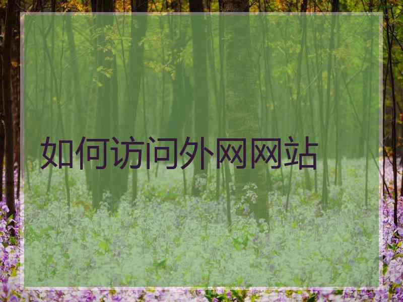 如何访问外网网站