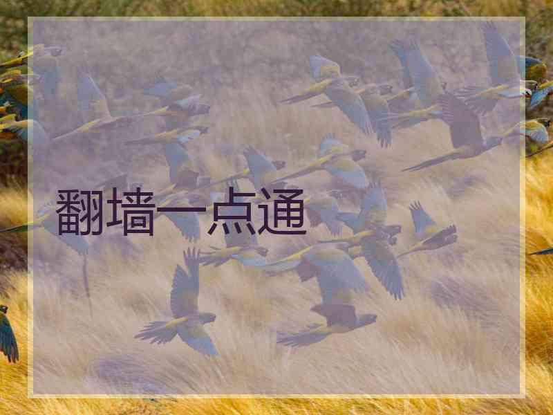 翻墙一点通