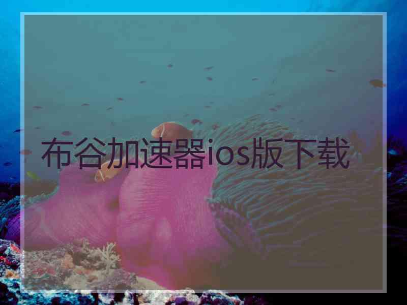 布谷加速器ios版下载