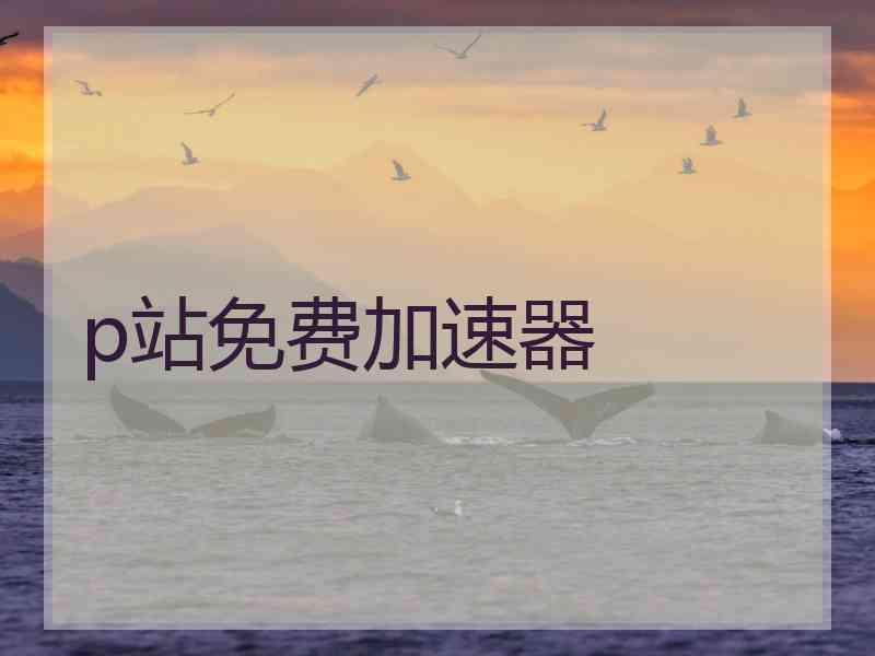 p站免费加速器