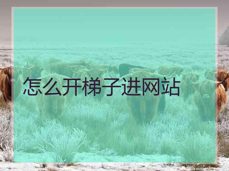 怎么开梯子进网站