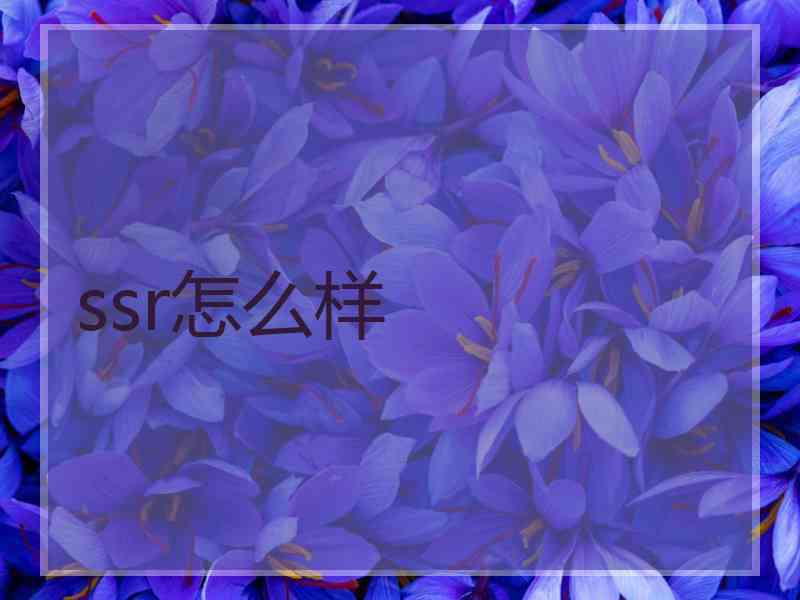 ssr怎么样