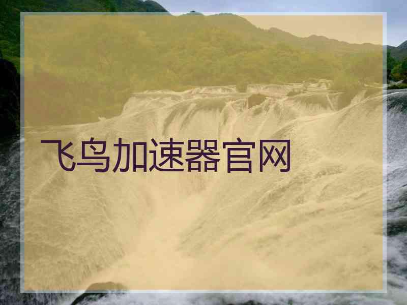 飞鸟加速器官网