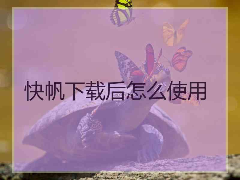 快帆下载后怎么使用