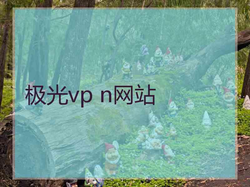 极光vp n网站