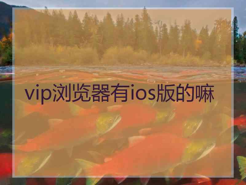vip浏览器有ios版的嘛