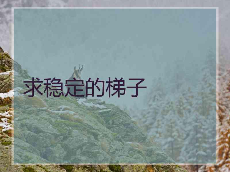 求稳定的梯子