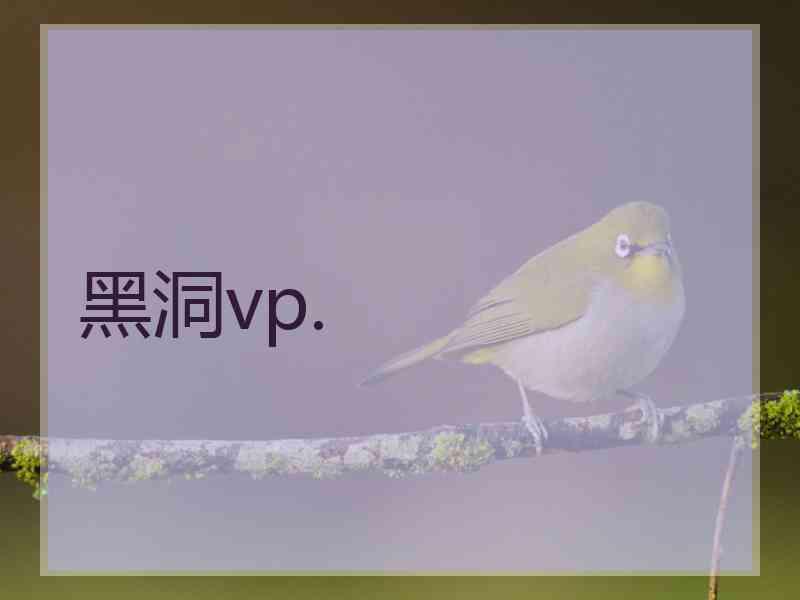 黑洞vp.