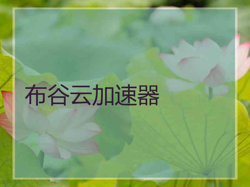 布谷云加速器
