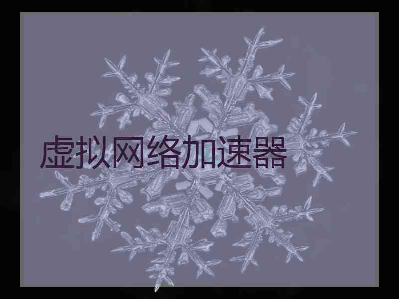虚拟网络加速器
