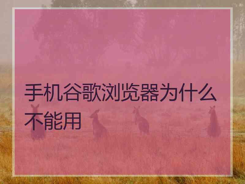 手机谷歌浏览器为什么不能用