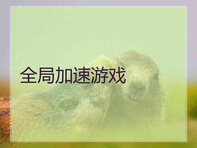 全局加速游戏
