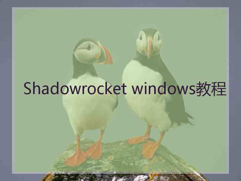 Shadowrocket windows教程