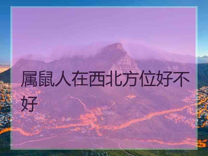 属鼠人在西北方位好不好