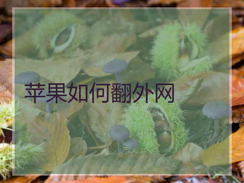 苹果如何翻外网