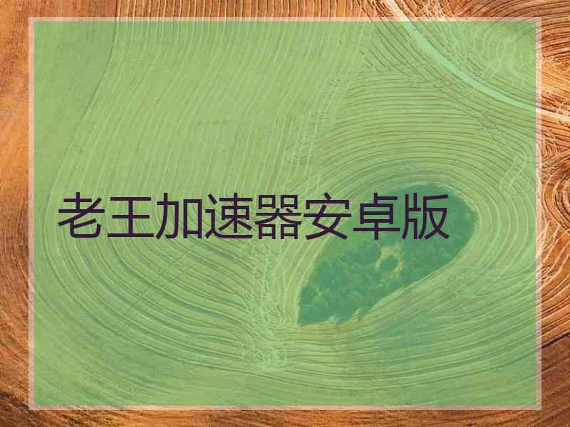 老王加速器安卓版