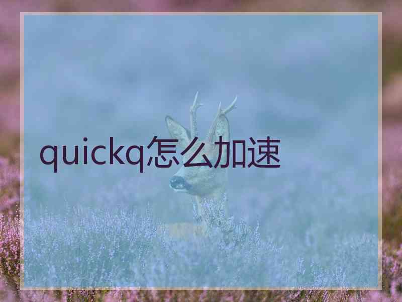quickq怎么加速