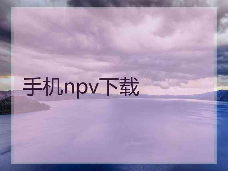 手机npv下载