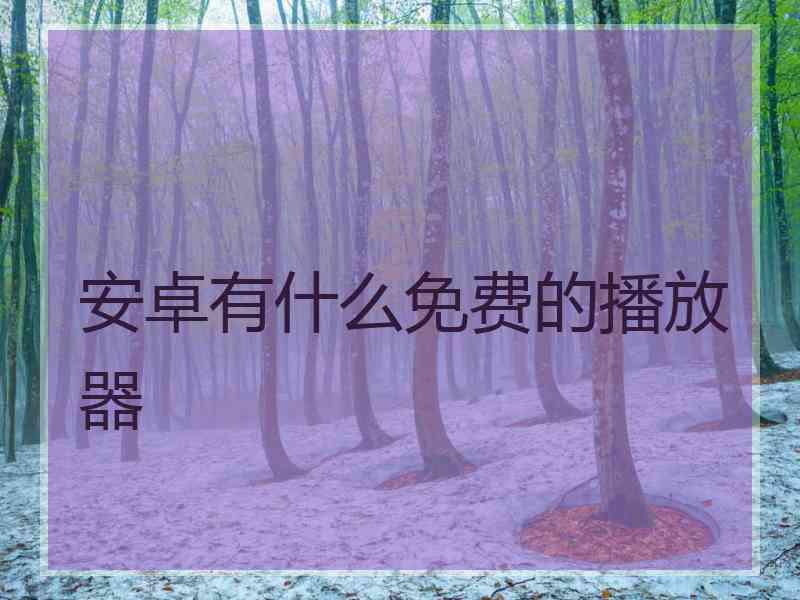 安卓有什么免费的播放器