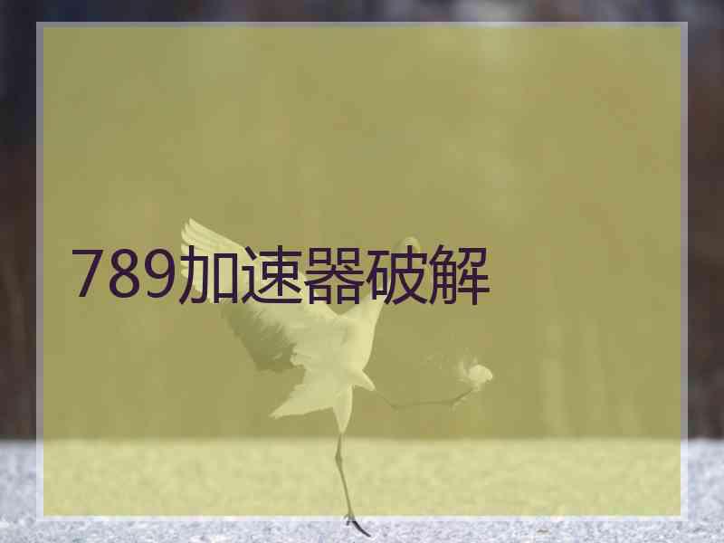 789加速器破解
