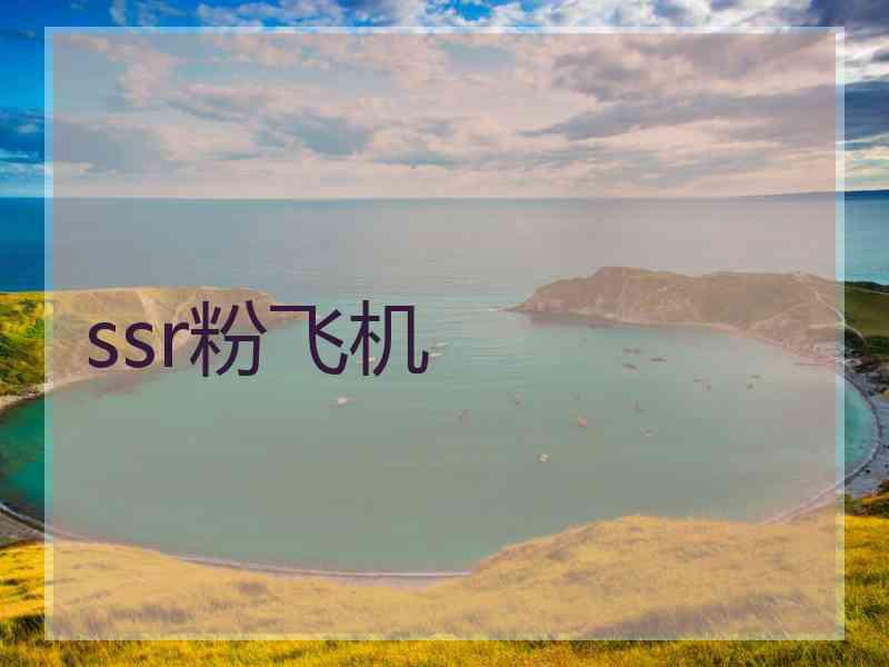 ssr粉飞机