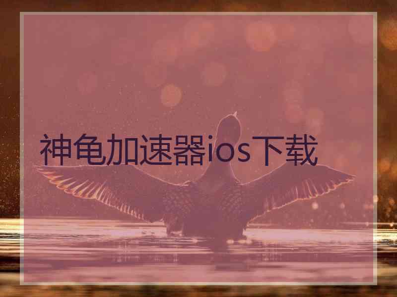 神龟加速器ios下载