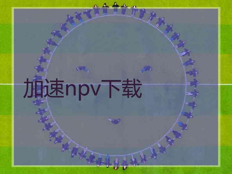 加速npv下载